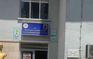 Kesinleşmiş hapis cezası bulunan FETÖ üyesi kadın...