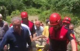 Kestiği ağacın altında mahsur kaldı