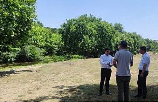 Ketenlik deresine mesire alanı olacak