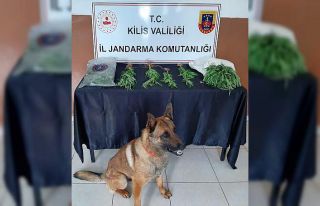 Kilis’te uyuşturucu operasyonu