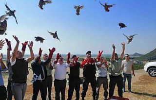 Kınalı keklikler doğaya salındı