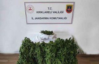 Kırklareli’de dronla tespit edilen adreslere jandarmadan...