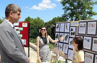 Kırsal mahallede resim sergisi