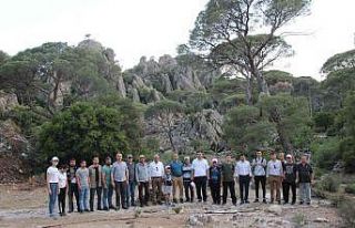 Koçarlı’da protokol üyeleri Latmos’u keşfetti