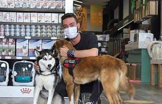 Konut projelerinde patili dostlar için yaşam alanları...