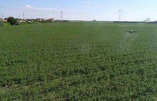 Konya Büyükşehir tarımsal drone teknolojisiyle...