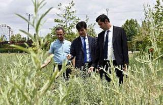 KOP desteklerine yerinde inceleme