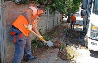 Körfez’de temizlik seferberliği