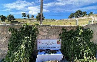 Köy evlerine uyuşturucu baskını