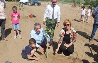 Köyceğiz’de öğrenciler okul bahçesine narenciye...
