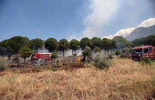 Köyceğiz’de orman yangını kısa sürede söndürüldü