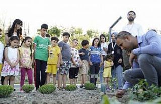 Küçük eller toprağa değdi