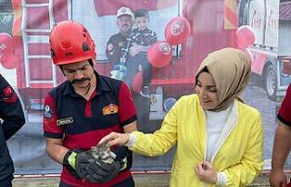 Küçük kediyi kurtarmak için büyük seferberlik