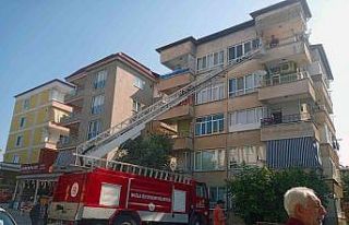 Kullanılmayan dairede mahsur kalan kediyi itfaiye...