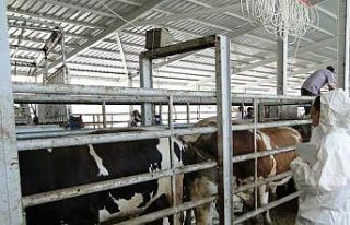 Kurban Bayramı öncesi sıkı kontrol