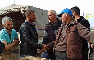 Kurban Bayramı’nın yaklaşması ile küçükbaş...