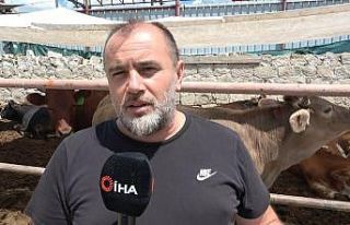 Kurbanlık alacaklara uyarı