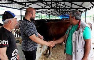 Kurbanlıklarda bu yıl pazarlıklar kızışacak