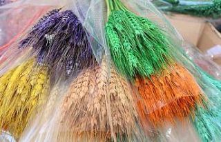 Kuru çiçekte ithalatı ihracata çevirdi