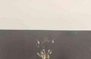 Kuşadası’nda uyuşturucu operasyonu: 3 kişi tutuklandı