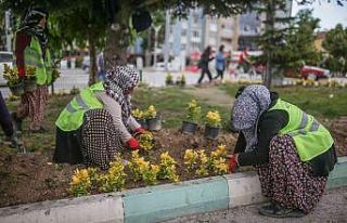 Kütahya’da çiçek dikim çalışmaları