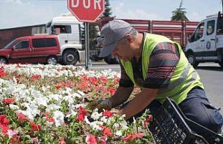 Kütahya’da refüjlere çiçek