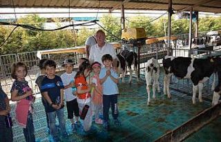Kütahyalı minik öğrenciler, sütün önemini çiftlikte...