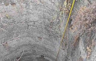 Kuyuya düşen köpek kurtarıldı