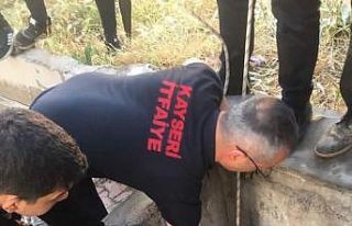 Kuyuya düşen koyunu itfaiye kurtardı