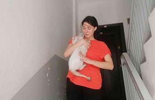 Lise öğrencisi, kedisi Duman’a kavuşunca sevinçten...