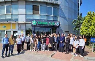 Liselilere sebze halinde eğitim