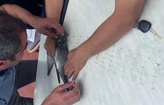 Mahsur kalan güvercini kurtarmak için seferber oldular