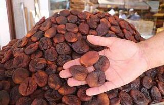 Malatya’da kuru kayısıda tahmini rekolte 75 bin...