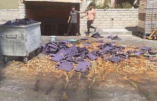 Maltepe’de palet devrildi, binlerce yumurta yola...