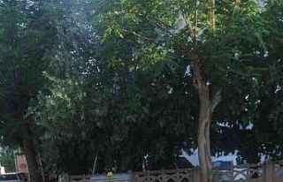 Manisa’da kan donduran olay: Çöp konteynerinden...