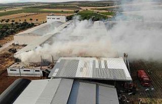 Manisa’da saman ve buğday deposunda yangın çıktı
