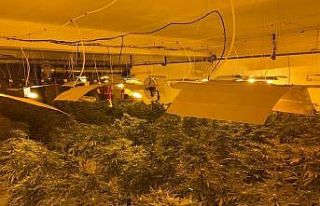 Manisa’da uyuşturucu operasyonu: 4 gözaltı