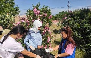 Manyaslı gençlerden çevre temizliği