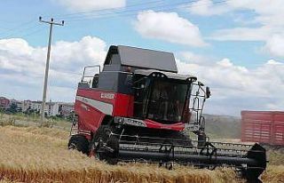 Manyas’ta arpa hasadı başladı