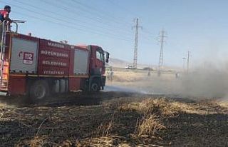 Mardin’de buğday ekili arazide yangın, 55 dönüm...