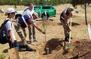 Mardin’de fidanlar toprakla buluştu