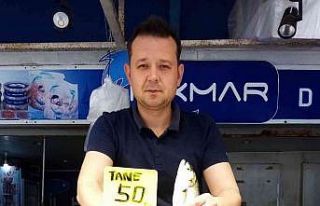 Marmara’da lüfer bereketi