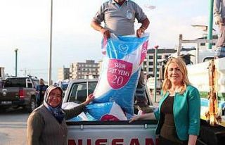 Merkezefendi Belediyesinden süt üreticilerine yem...