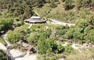 Mesir Tabiat Parkına yoğun ilgi