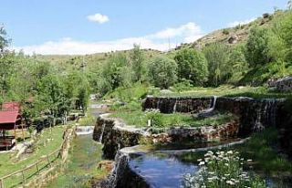 Mesire alanı görsel güzelliğiyle hayran bırakıyor