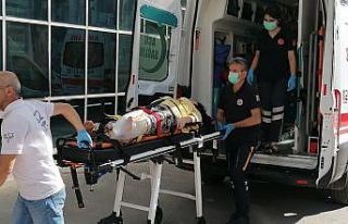 Meyve toplamak için çıktığı ağaçtan düşen...