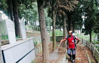 Mezarlıklarda bayram temizliği