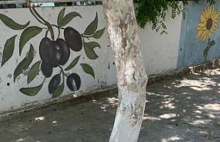 Mezitli Örgülü Sokaktaki örgüler ve resimler...