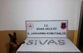 Midesinden 15 paket uyuşturucu çıktı
