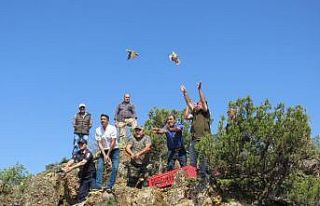 Mihalıççık’ta 750 kınalı keklik doğaya salındı